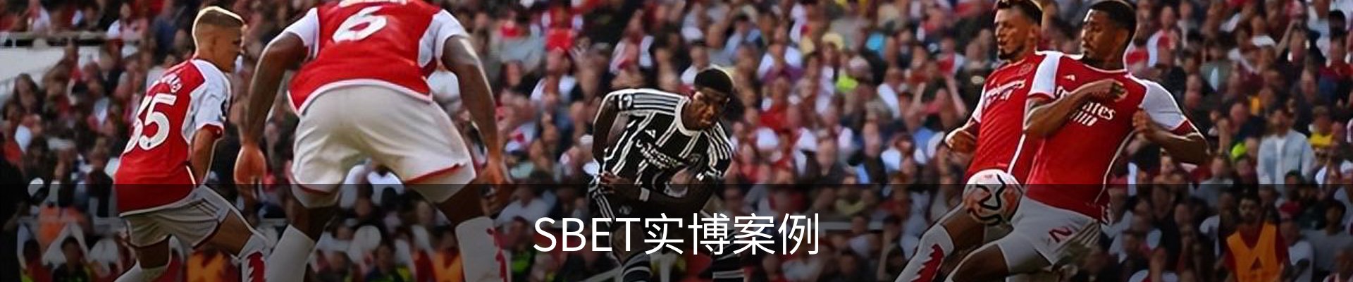 SBET实博案例